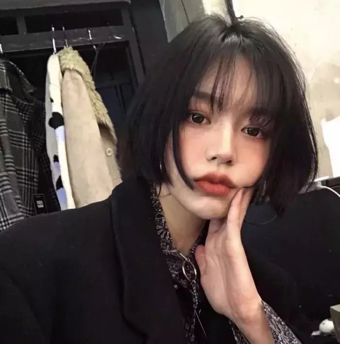 当狗爱上猫粤语